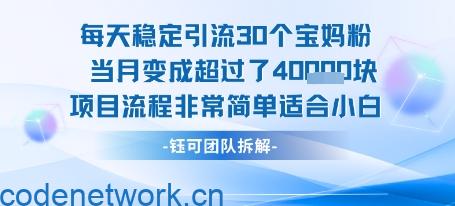 每天稳定引流30个人 当月变成超过了4个W项目流程非常简单适合小白|思创源码网