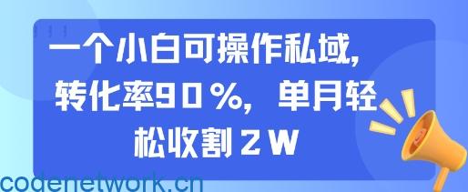 一个小白可操作私域，转化率90%，单月轻松收割2W|思创源码网