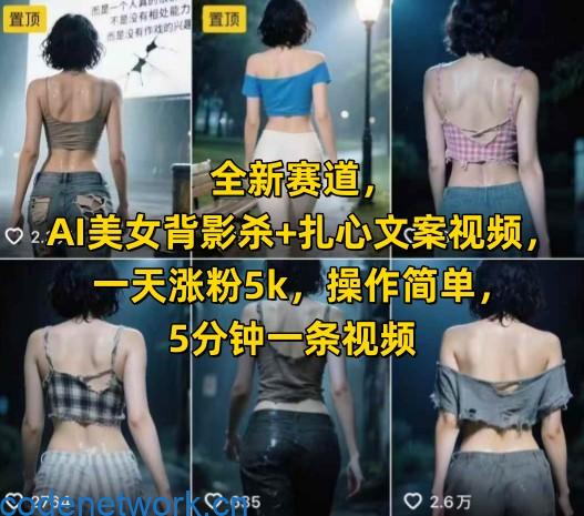 全新赛道，AI美女背影杀+扎心文案视频，一天涨粉5k，操作简单，5分钟一条视频|思创源码网