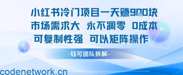 小红书冷门项目一天收益9张，市场需求大，0成本，可复制性强可以矩阵操作|思创源码网