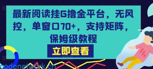 最新阅读挂G撸金平台，无风控，单窗口70+，支持矩阵，保姆级教程【揭秘】|思创源码网