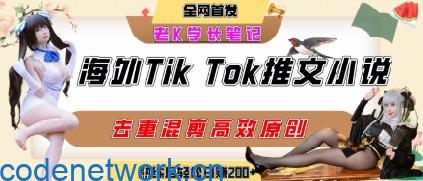 海外tiktok小说推文暴力项目，高停留率，高转化率，上手后一天搞顿饭钱不是问题|思创源码网