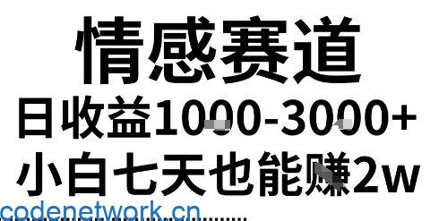 2025最新风口情感无脑暴力掘金项目，新人操作一周挣了2W，长期稳定小白可做【揭秘】|思创源码网