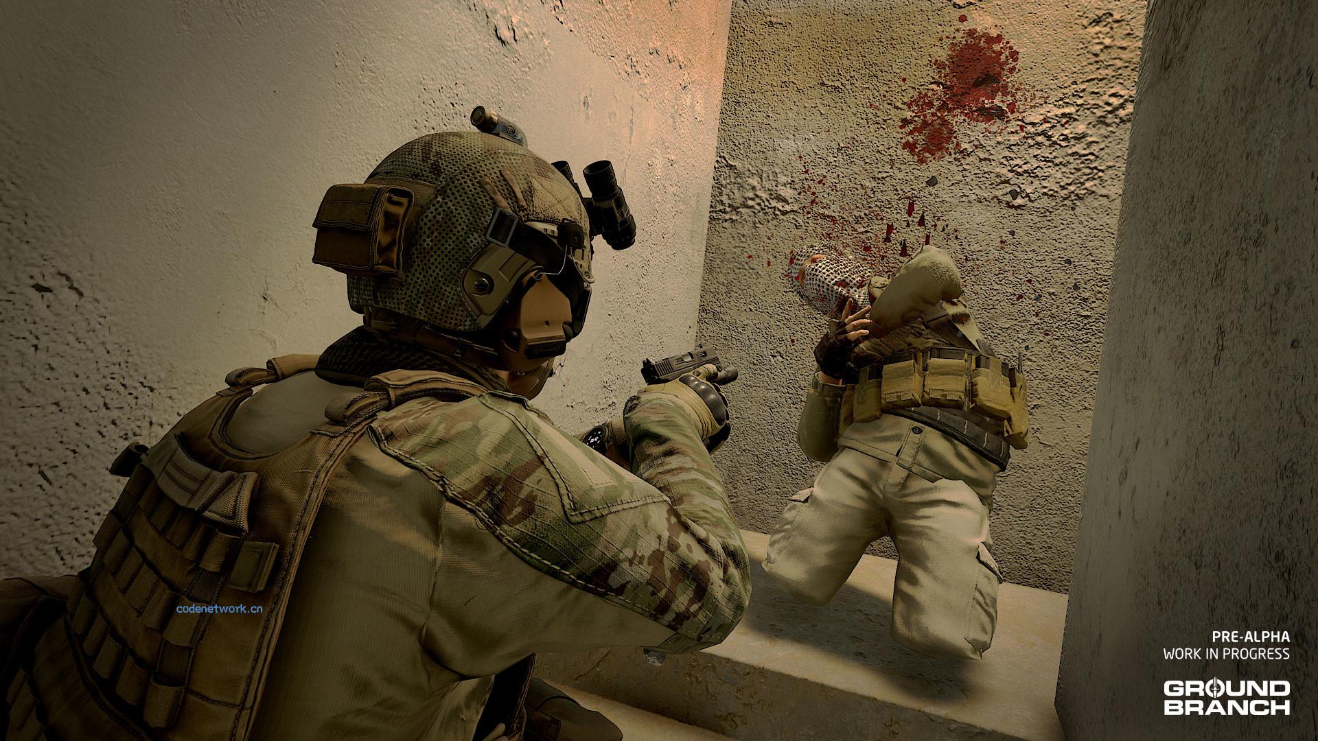 地面部队/GROUND BRANCH|思创源码网