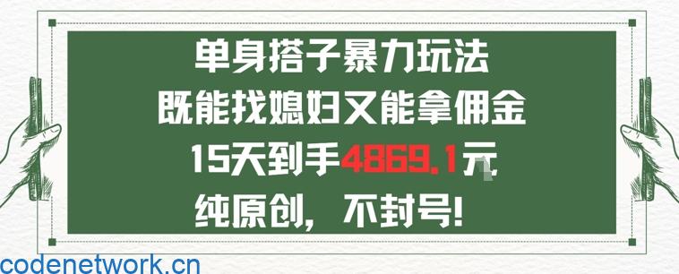 单身男女找搭子，既能找媳妇又能拿佣金的玩法一个微信15天到手4869|思创源码网