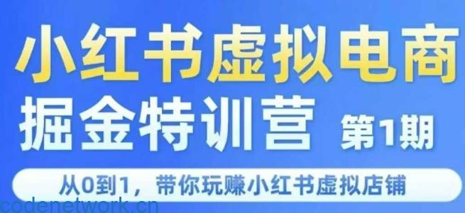 小红书虚拟电商掘金特训营第1期，从0到1，带你玩转小红书虚拟店铺|思创源码网