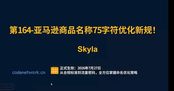 亚马逊跨境实战课：全品类选品逻辑｜SP/SB/SD广告精细化｜新品打爆旺季爆单全套运营教程|思创源码网
