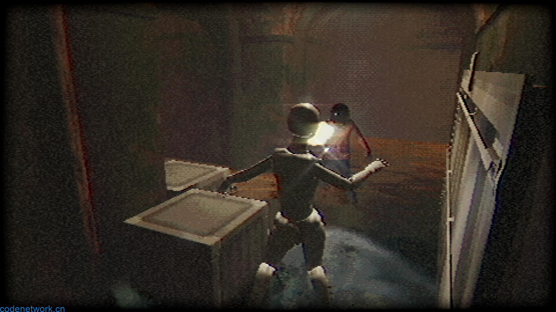 塑形变异/Plastomorphosis|思创源码网