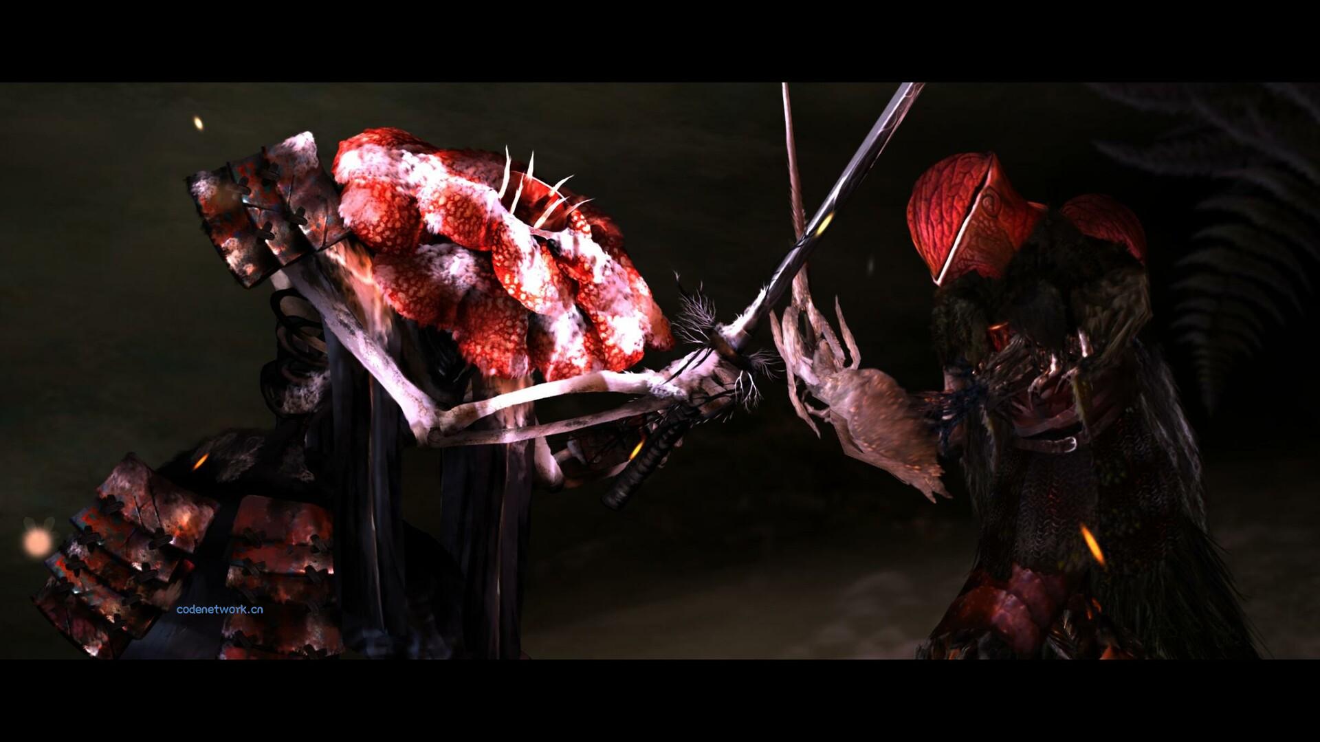 永恒秩序/Perennial Order