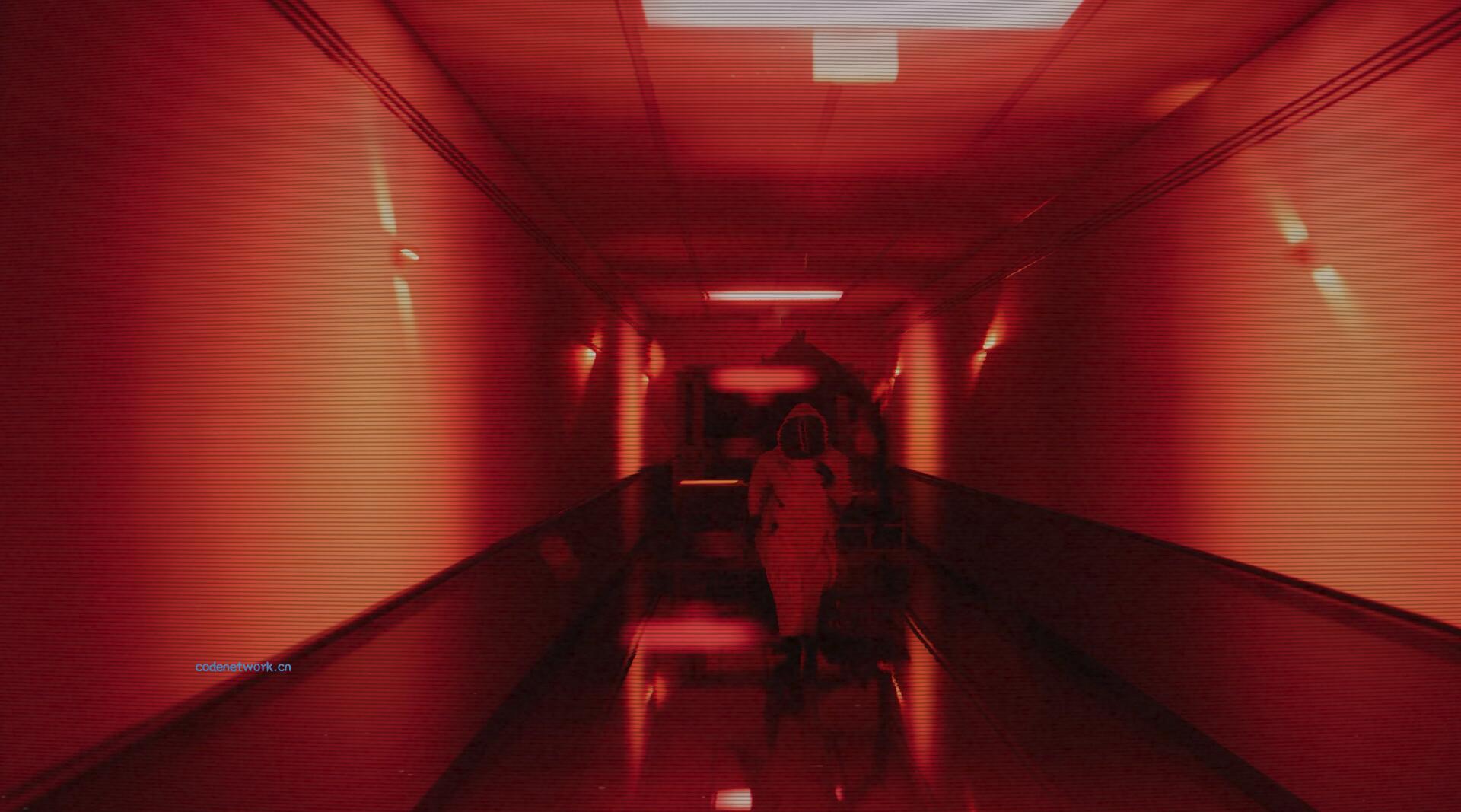 后室：一起逃脱/Backrooms: Escape Together/支持网络联机|思创源码网