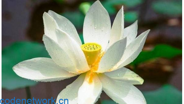 梦到在一个没有名字的世界寻找身份|思创源码网