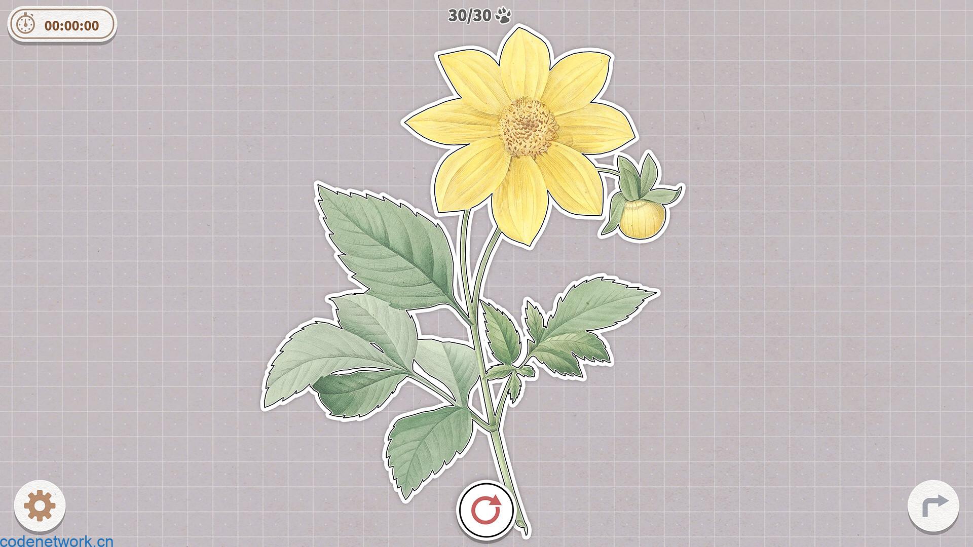 挤在一起的植物/Plants Huddled Together|思创源码网