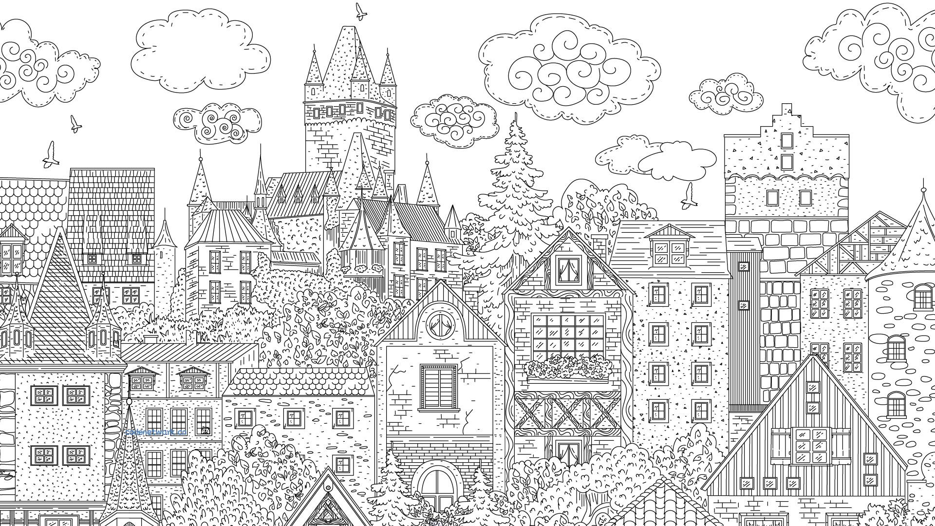 隐藏在德国的猫/Cats Hidden in Germany 隐藏在德国的猫/Cats Hidden in Germany