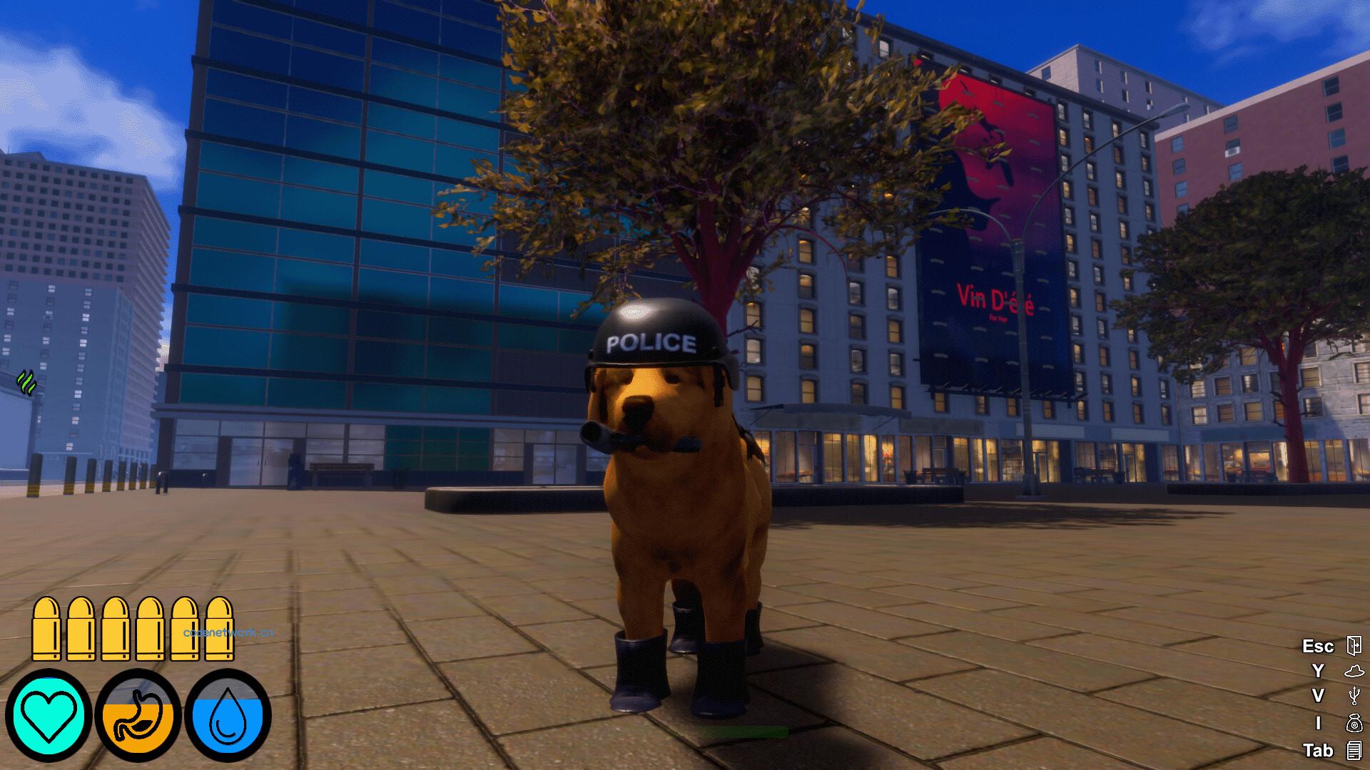 迷途狗爪/Lost Paws 迷途狗爪/Lost Paws