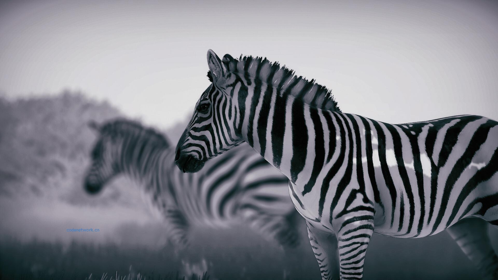 幽居之境/Seclusa