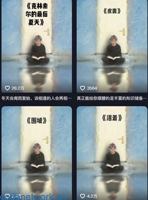 AI制作爆款书单，抖音42粉丝博主书单号制作拆解，单条视频28W赞|思创源码网