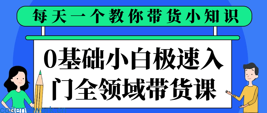 0基础小白极速入门全领域带货课|思创源码网