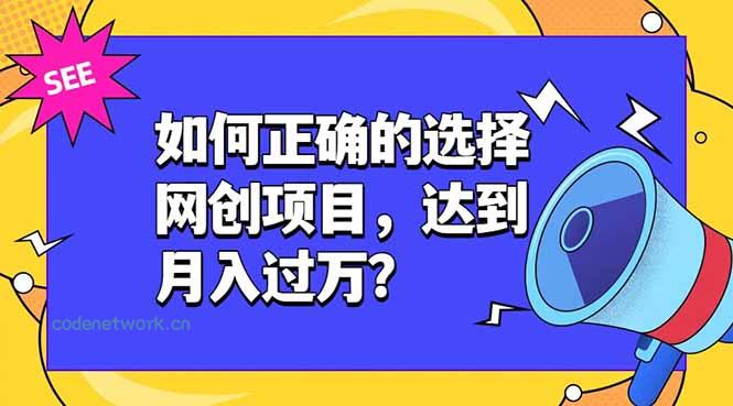 如何正确的选择网创项目，达到月入过万？，本课程教你正确选择项目。|思创源码网
