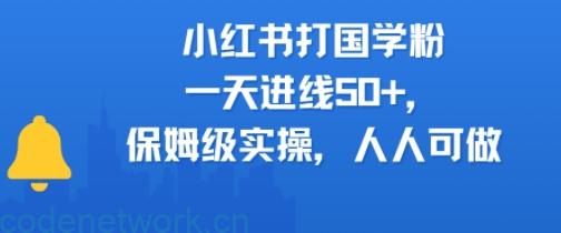 小红书打国学粉，一天进线50+，保姆级实操，人人可做|思创源码网