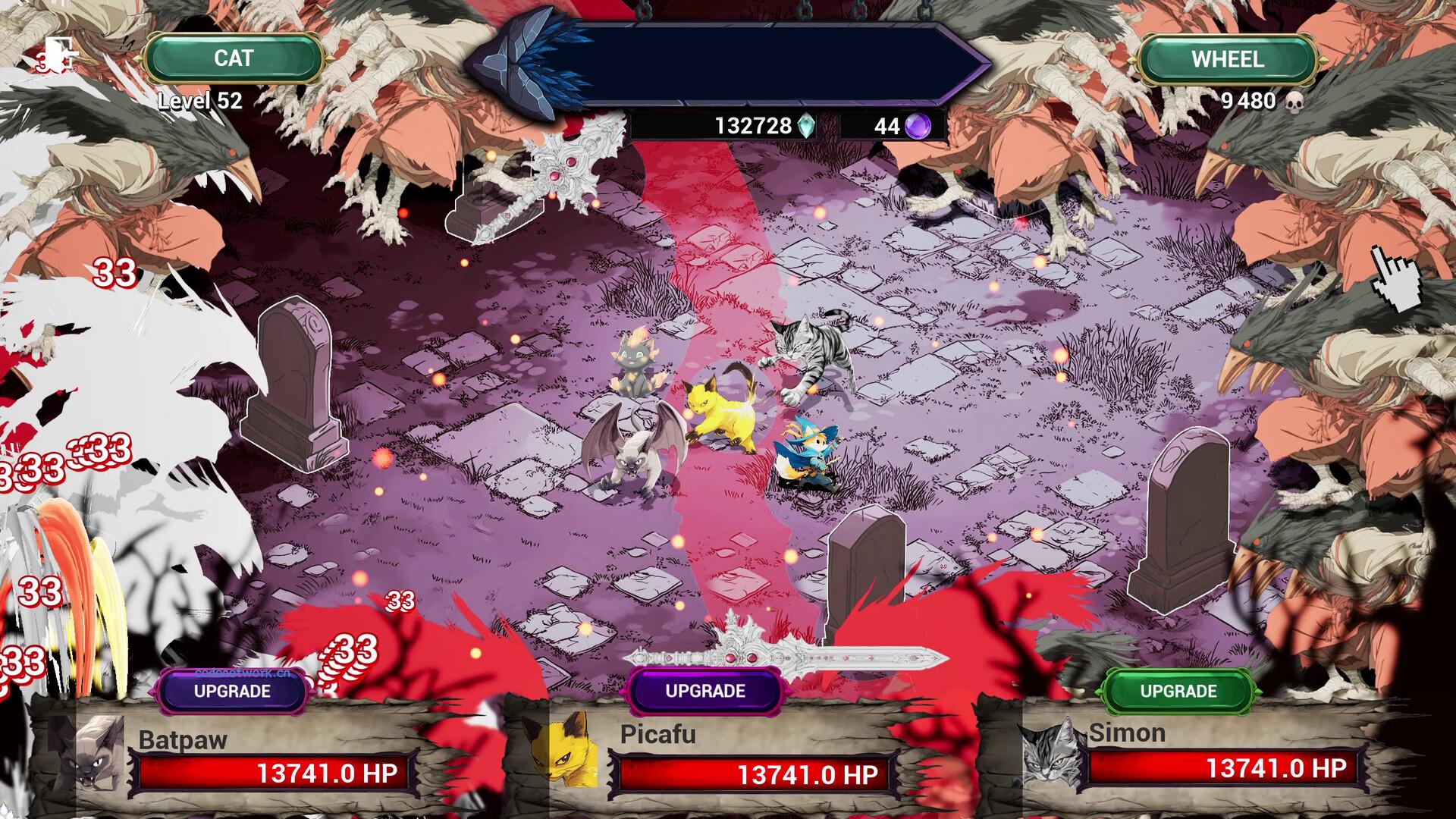 吸血猫/Vampire Cat 吸血猫/Vampire Cat