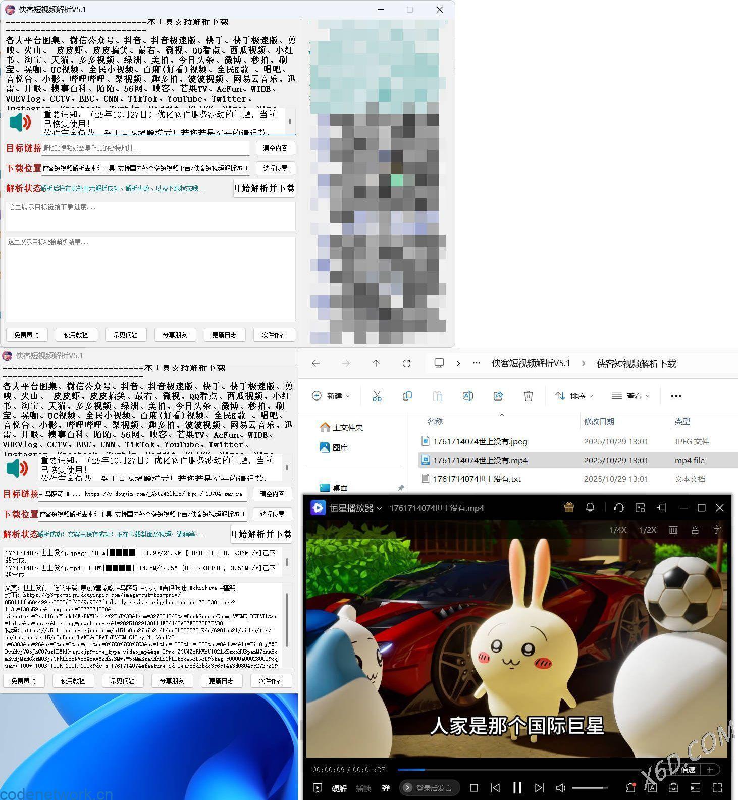 侠客多平台短视频解析去水印工具 V5.1|思创源码网