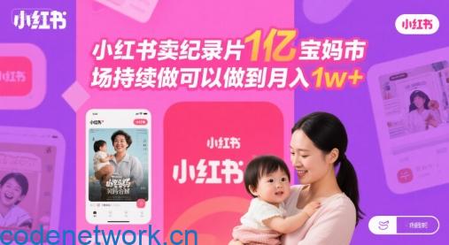 小红书卖纪录片1亿宝妈市场持续做可以做到月入1w+|思创源码网