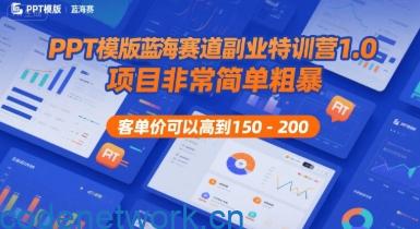 PPT模版蓝海赛道副业特训营1.0，项目非常简单粗暴，客单价可以高到150-200|思创源码网