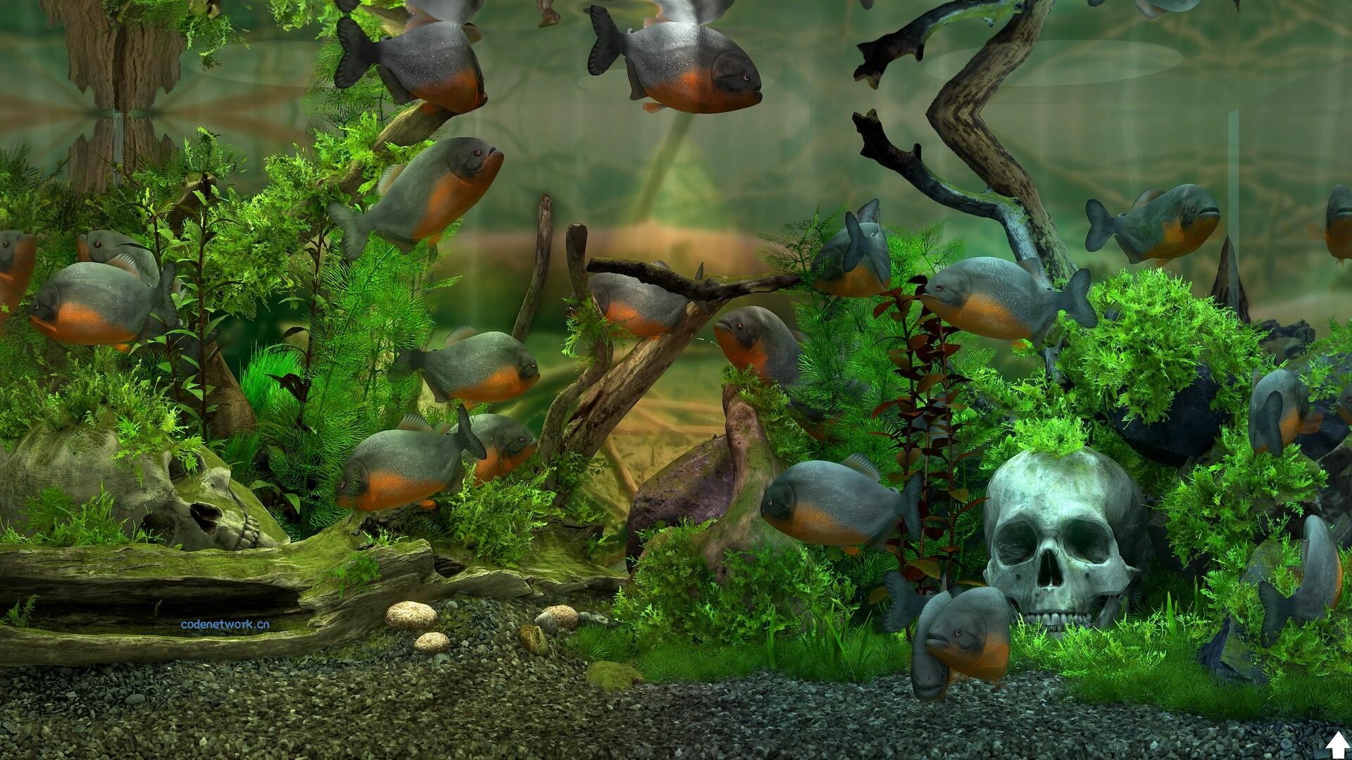玻璃背后:水族馆模拟器/Behind Glass: Aquarium Simulator 版本更新 玻璃背后:水族馆模拟器/Behind Glass: Aquarium Simulator 版本更新