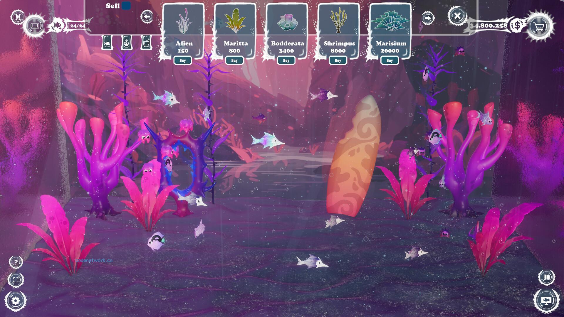 幻海水族馆/Aquanima|思创源码网