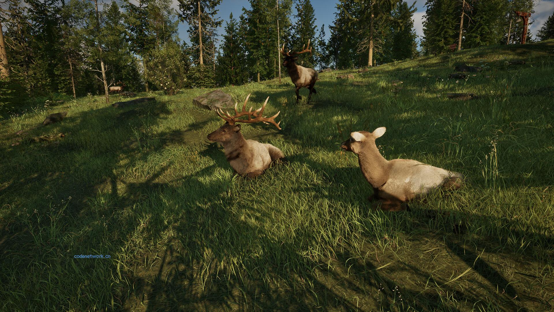 护林员之路：国家公园模拟器/Ranger’s Path: National Park Simulator|思创源码网