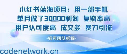 小红书蓝海项目,一部手机单月做了3W利润,小白也能月入过1W用户认可度高成交多|思创源码网