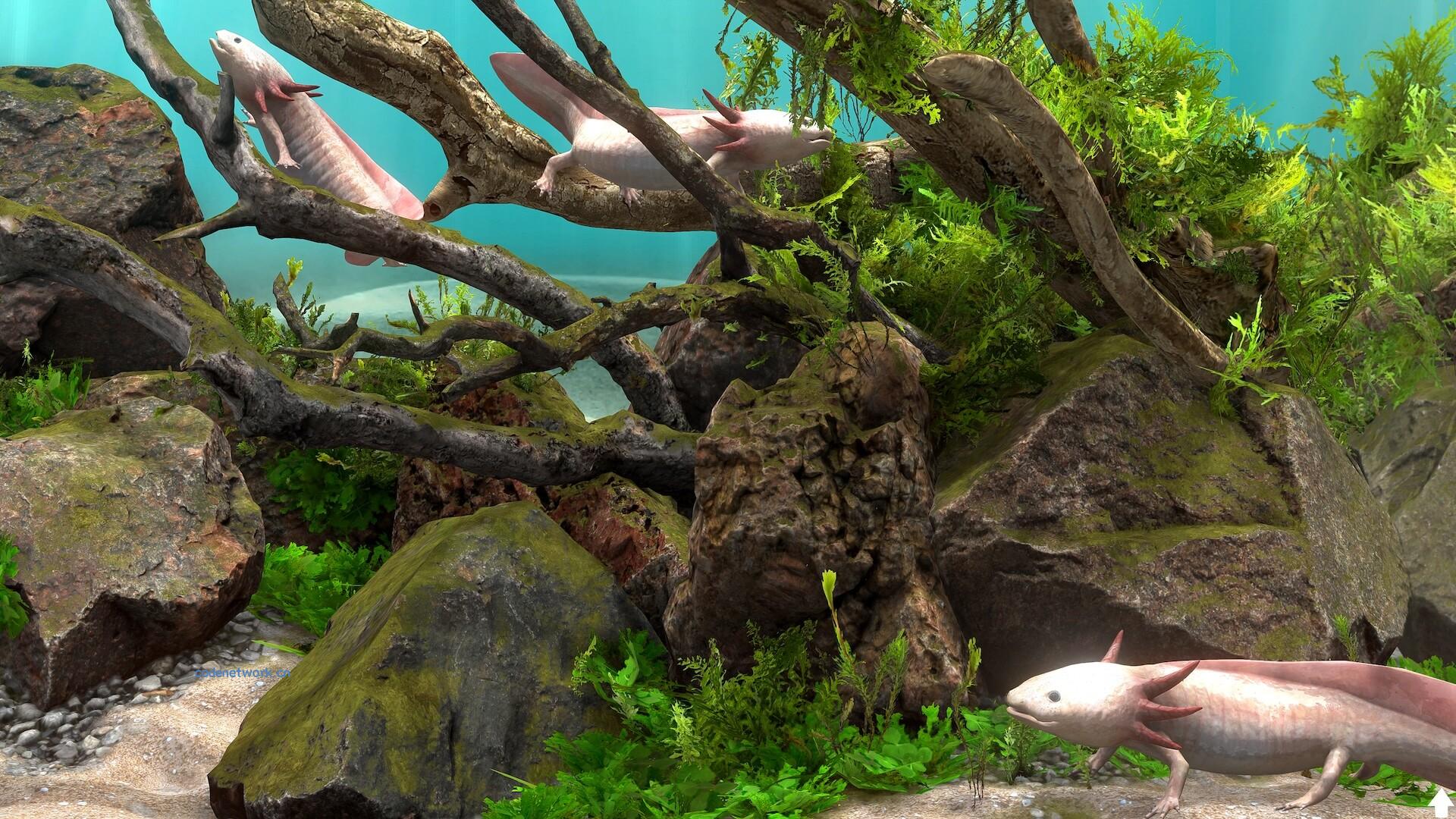 玻璃背后:水族馆模拟器/Behind Glass: Aquarium Simulator 版本更新 玻璃背后:水族馆模拟器/Behind Glass: Aquarium Simulator 版本更新