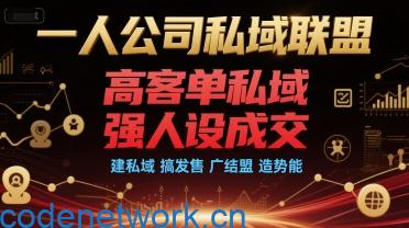 一人公司私域联盟，高客单私域，强人设成交，建私域 搞发售 广结盟 造势能|思创源码网