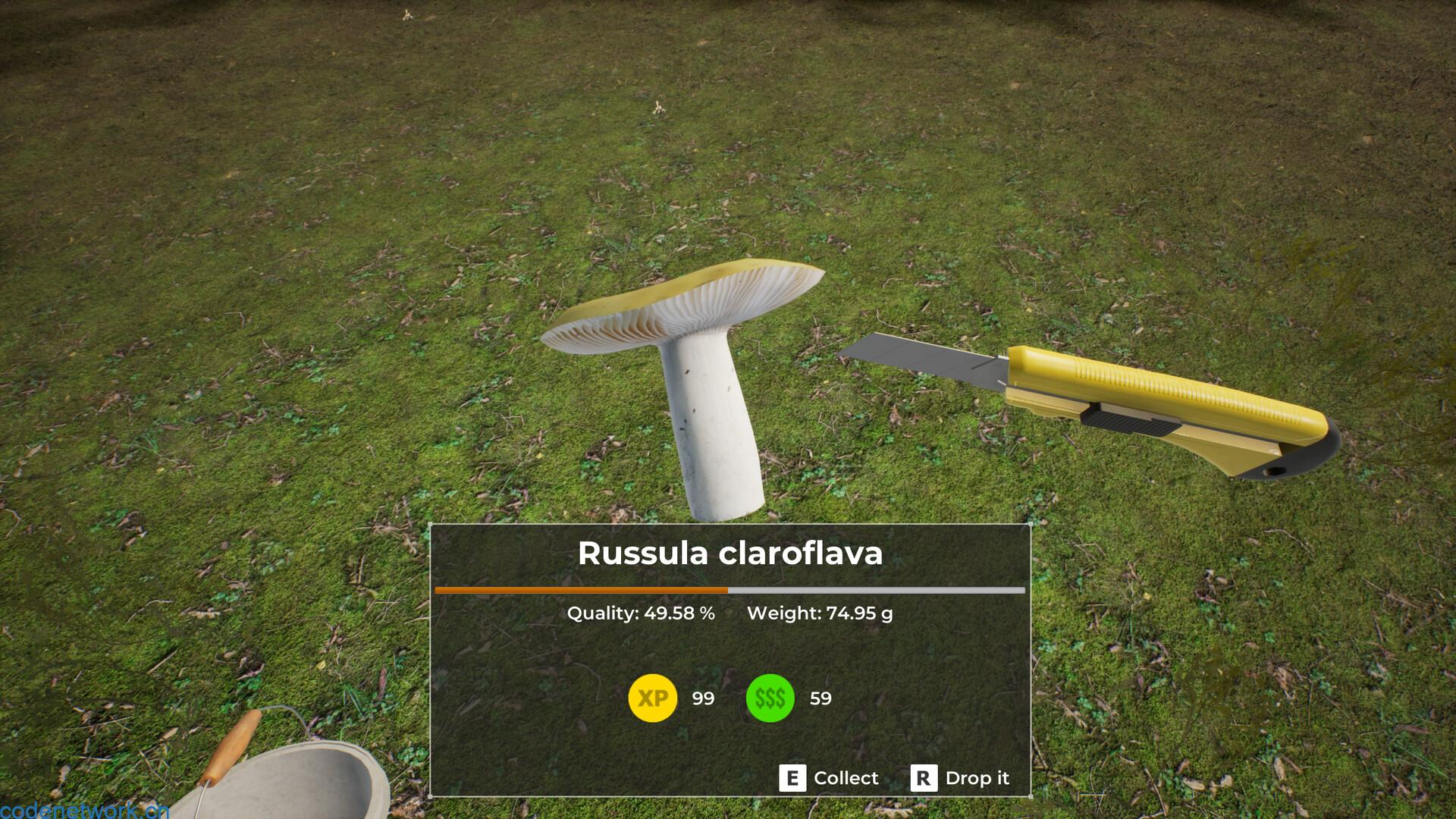 蘑菇猎人世界/Mushroom Hunter World|思创源码网