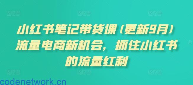 小红书笔记带货课(更新25年6月)流量电商新机会，抓住小红书的流量红利|思创源码网
