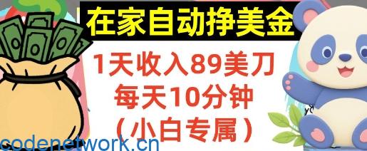 在家自动挣美金，1天收入89刀，每天10分钟，小白专属，长期的被动收入|思创源码网