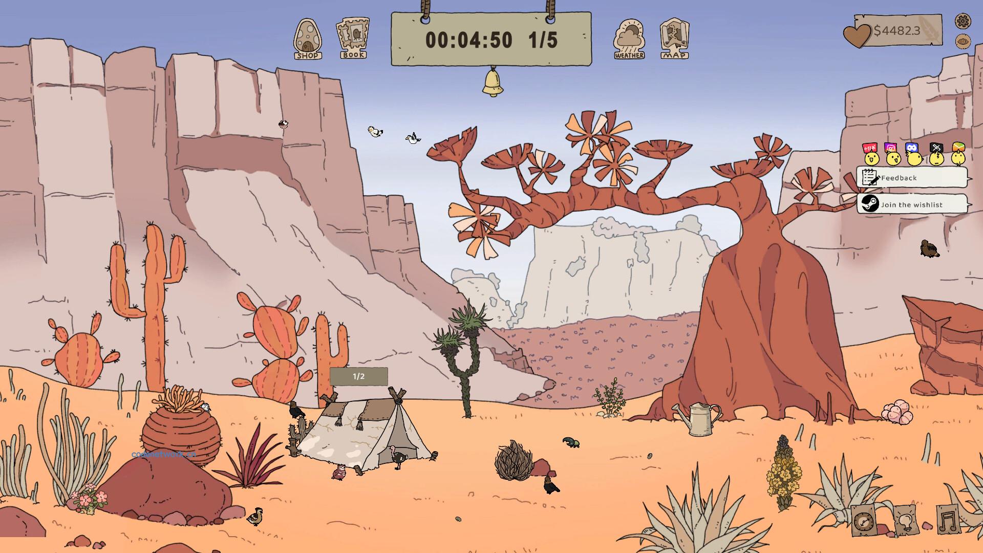 鸟语森林/Feather Land 新游发布|思创源码网