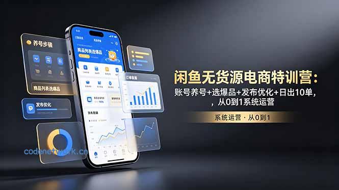 闲鱼无货源电商特训营：账号养号+选爆品+发布优化+日出10单，从0到1系统运营|思创源码网