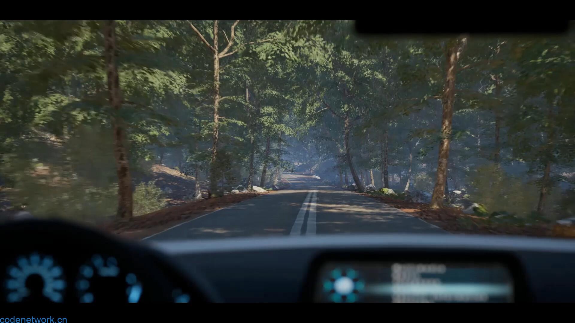 伊芙琳的故事/The Evelyn Game|思创源码网