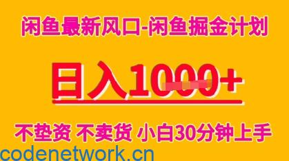 闲鱼最新风口-闲鱼掘金计划，日入多张，不垫资不卖货，小白30分钟上手|思创源码网