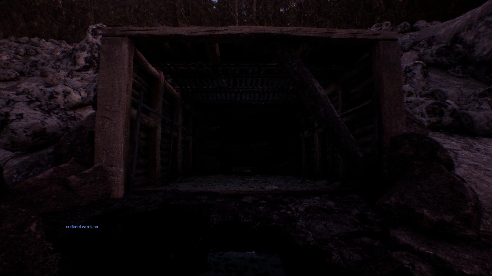 凝视之林：虱子/The Watching Woods: The Louse