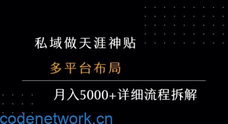 私域做天涯神贴 多平台布局 月入5k+详细流程拆解|思创源码网