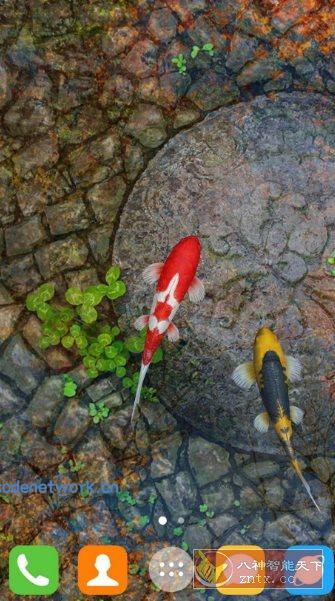 Water Garden Live Wallpaper 锦鲤3D动态壁纸2.05专业版|思创源码网