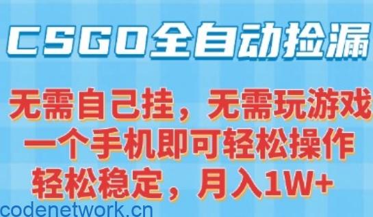 CSGO自动捡漏项目，最新独家玩法，一个手机可操作，新手小白轻松月入1W+，操作简单易上手【揭秘】|思创源码网