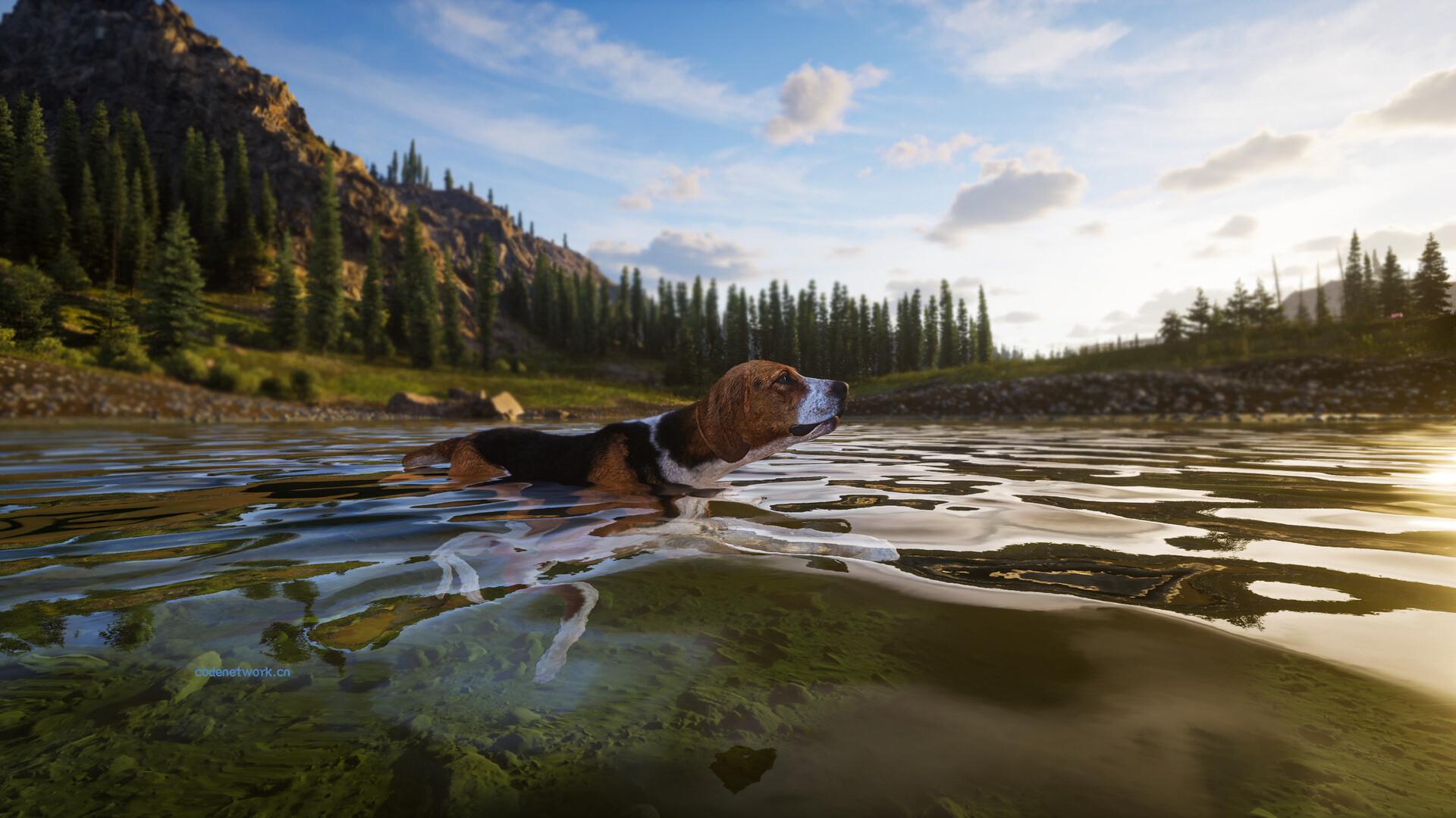 狩猎之道2/Way of the Hunter 2|思创源码网