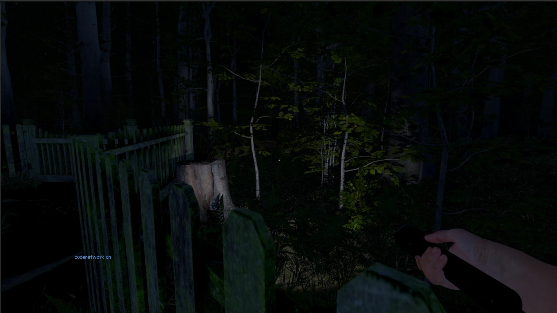 灰人：人类绑架/The Greys: Human Abductions