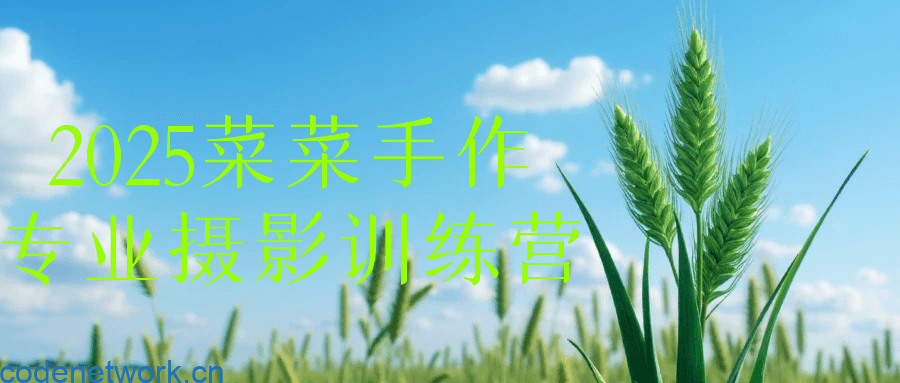 2025菜菜手作专业摄影训练营|思创源码网