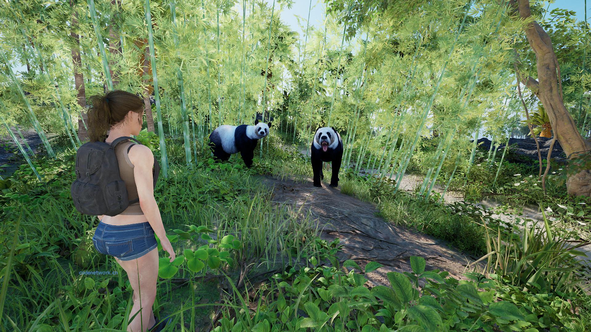 伊甸岛/Eden Island|思创源码网