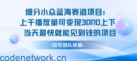 小众蓝海赛道项目：当天变现1k+适合新手操作 +适合长期玩|思创源码网